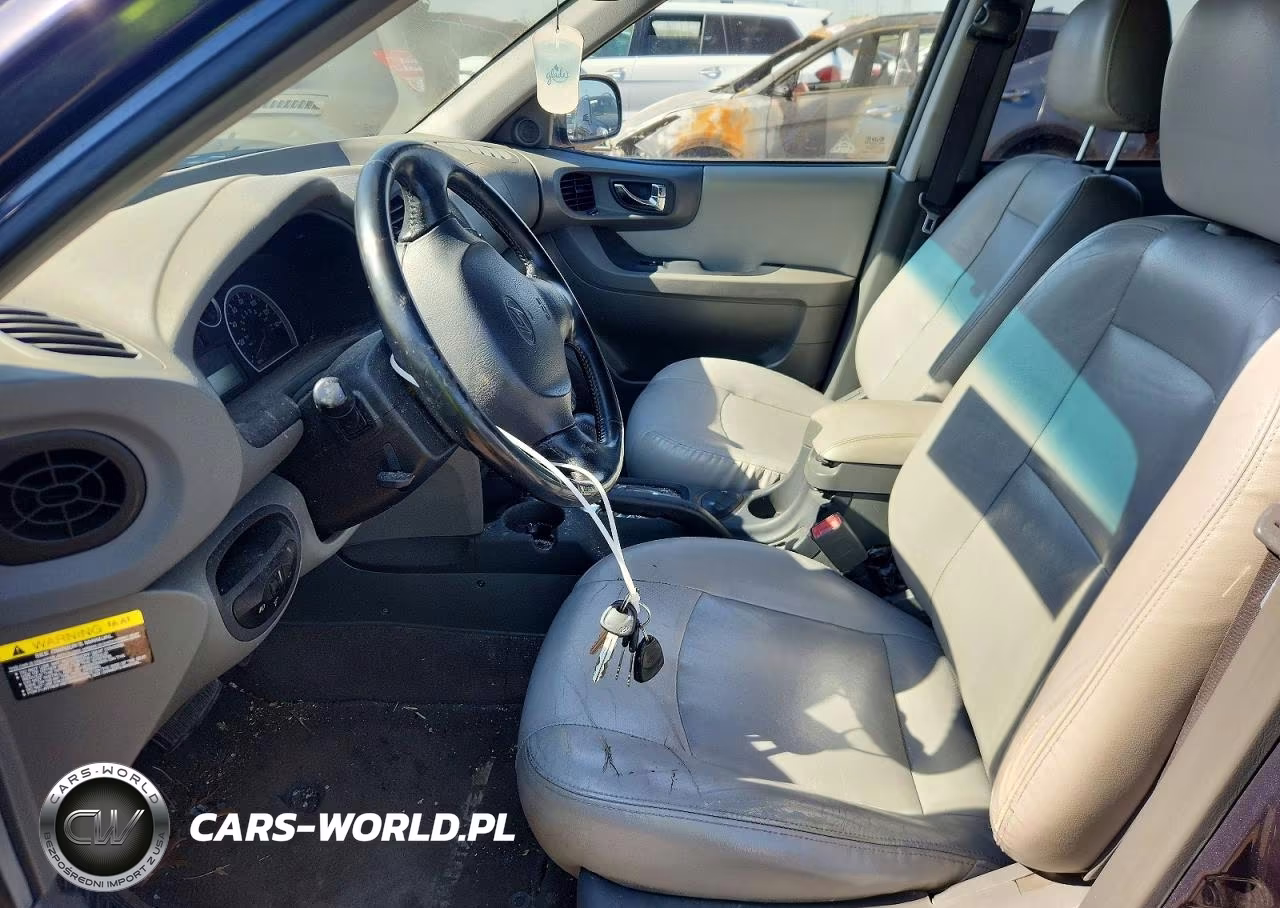2006 Hyundai Santa Fe Gls VIN:KM8SC13E96U069067 - 7