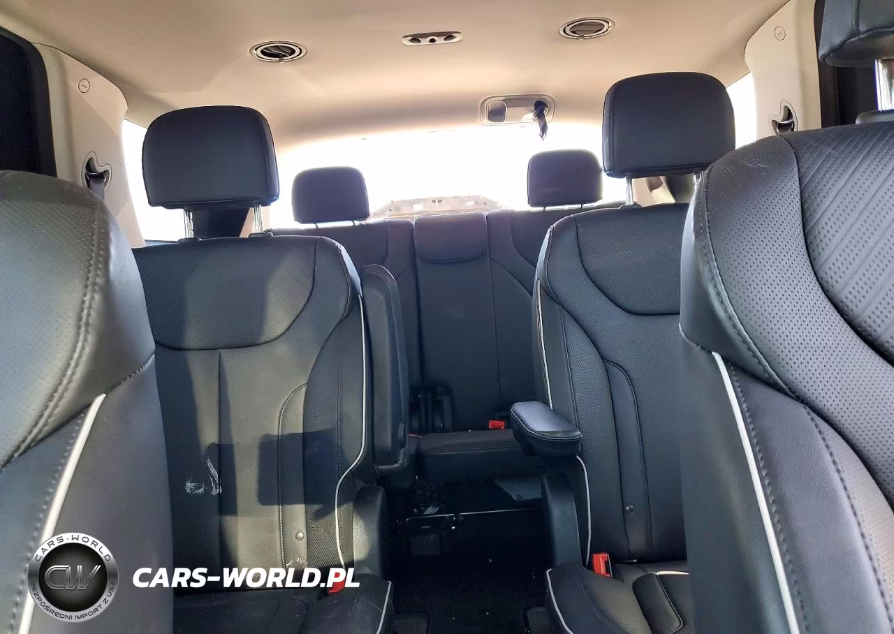 2025 Hyundai Palisade Sel VIN:KM8R2DGE9SU850971 - 10