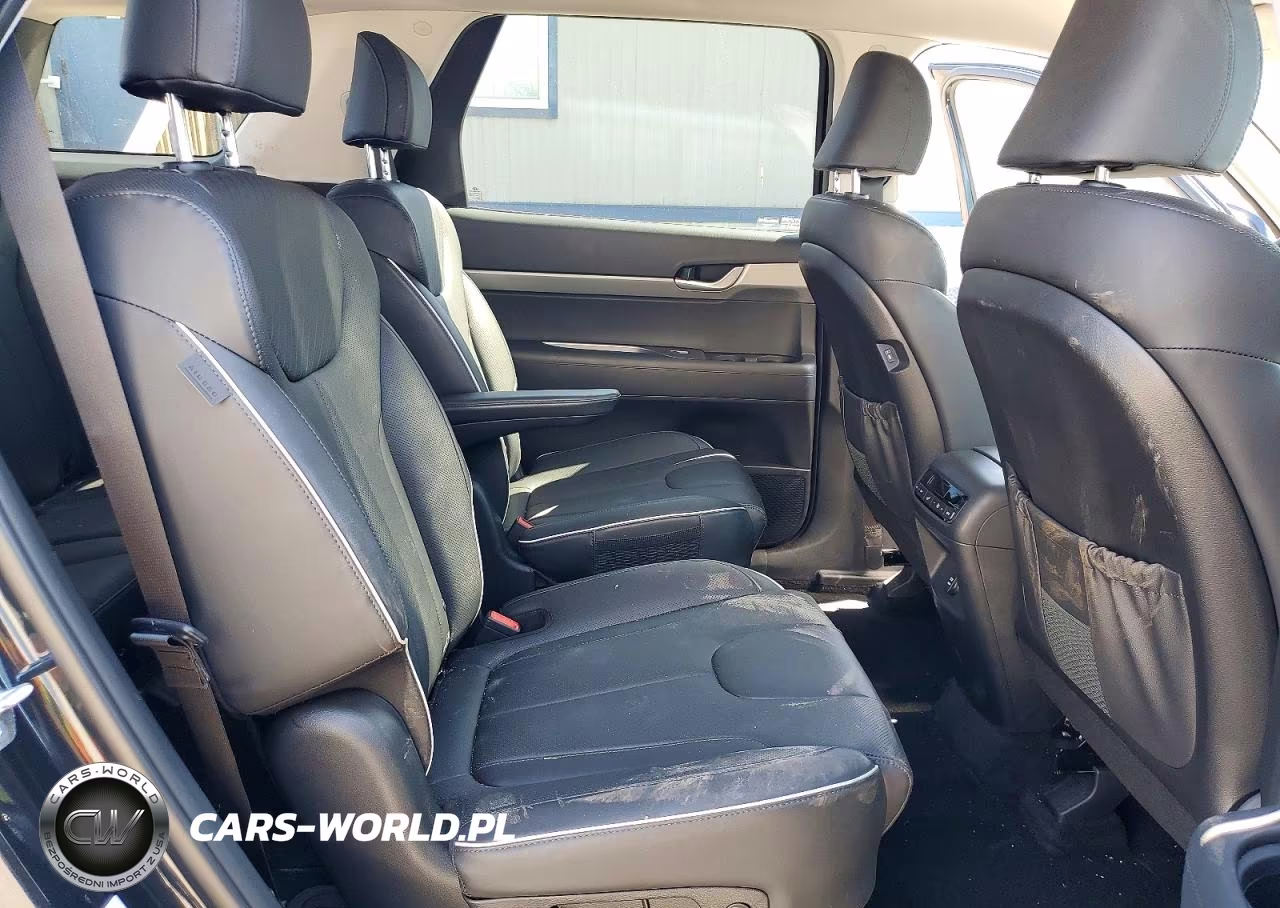 2025 Hyundai Palisade Sel VIN:KM8R2DGE9SU850971 - 11