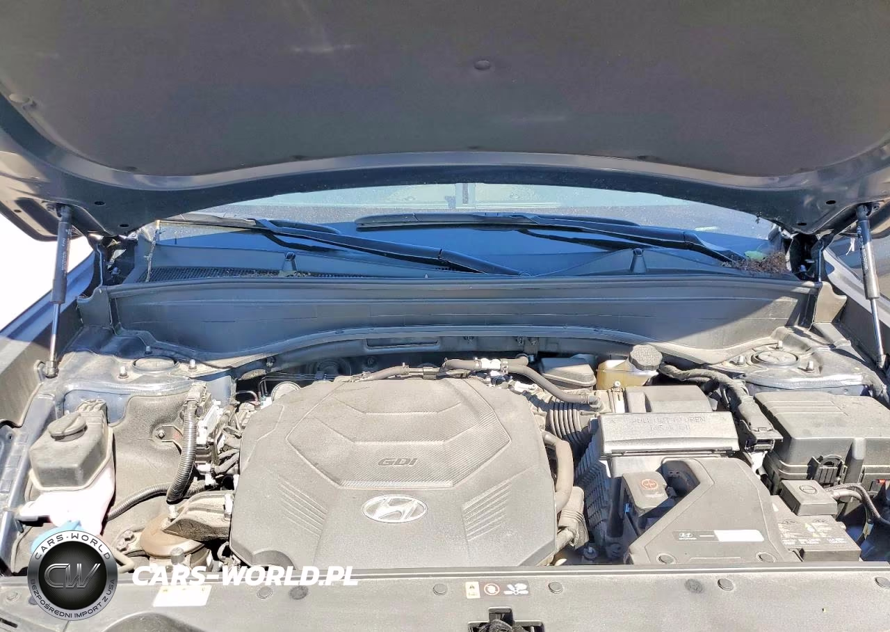 2025 Hyundai Palisade Sel VIN:KM8R2DGE9SU850971 - 12