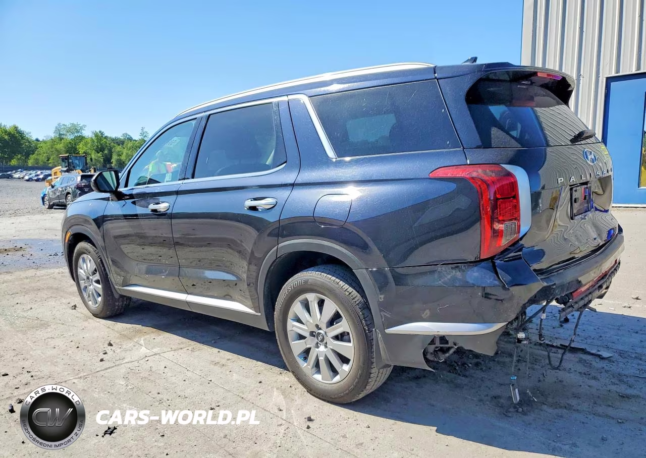 2025 Hyundai Palisade Sel VIN:KM8R2DGE9SU850971 - 2