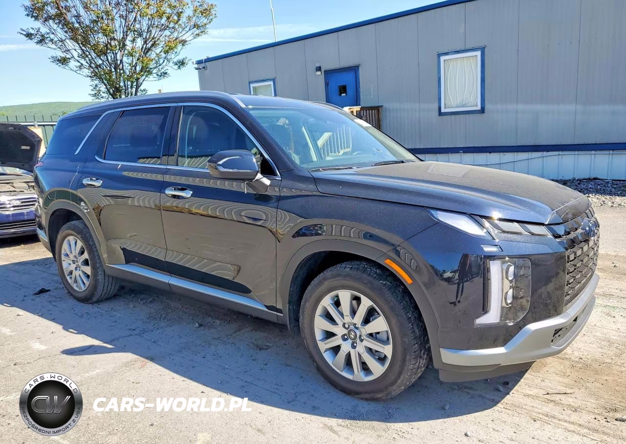 2025 Hyundai Palisade Sel VIN:KM8R2DGE9SU850971 - 4