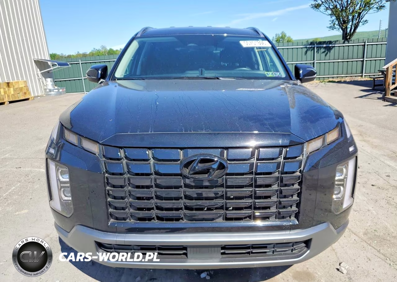 2025 Hyundai Palisade Sel VIN:KM8R2DGE9SU850971 - 5