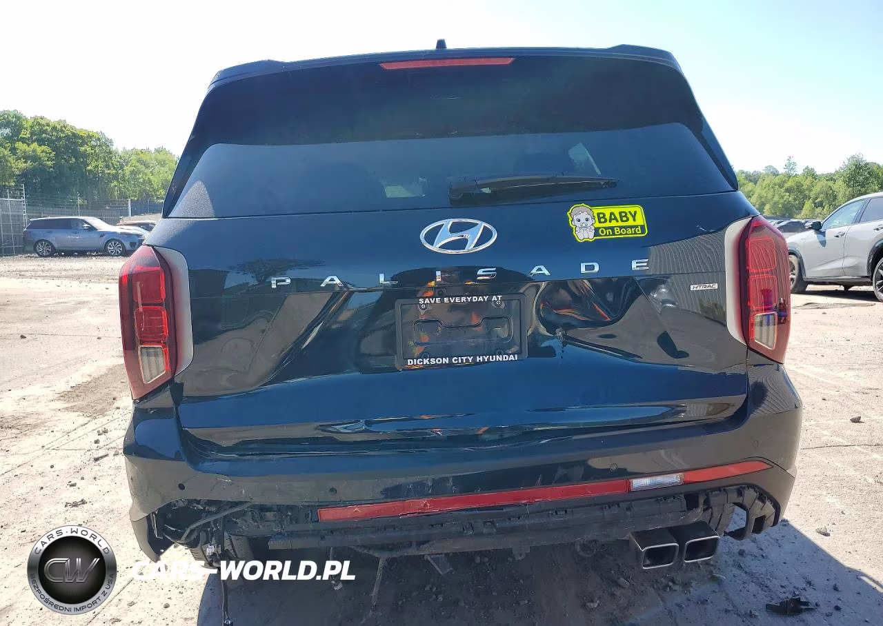 2025 Hyundai Palisade Sel VIN:KM8R2DGE9SU850971 - 6