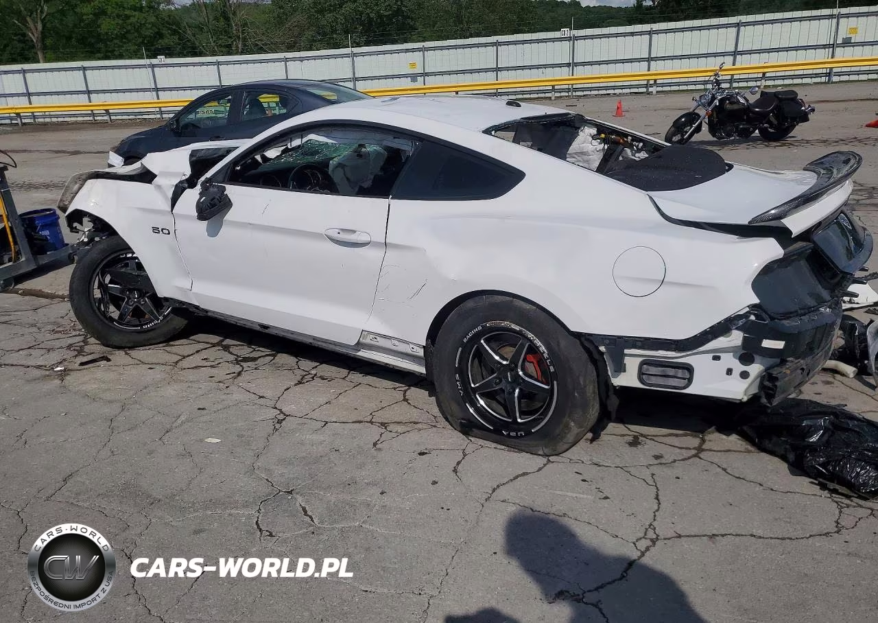 2019 Ford Mustang Gt VIN:1FA6P8CF4K5151763 - 2