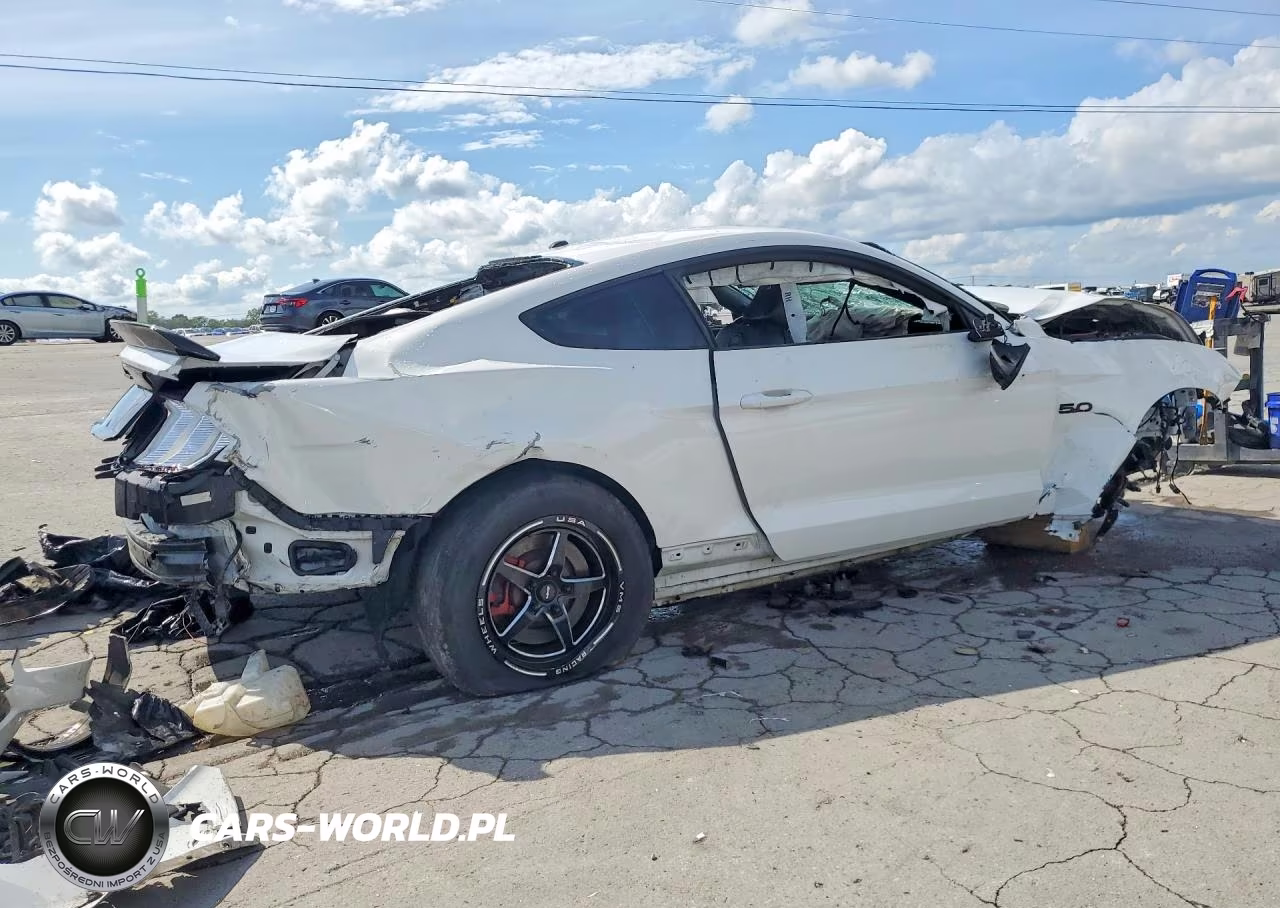 2019 Ford Mustang Gt VIN:1FA6P8CF4K5151763 - 3