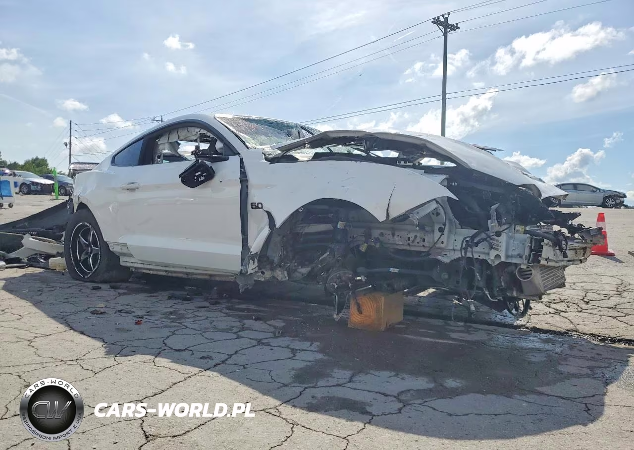 2019 Ford Mustang Gt VIN:1FA6P8CF4K5151763 - 4