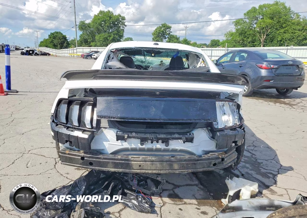 2019 Ford Mustang Gt VIN:1FA6P8CF4K5151763 - 6