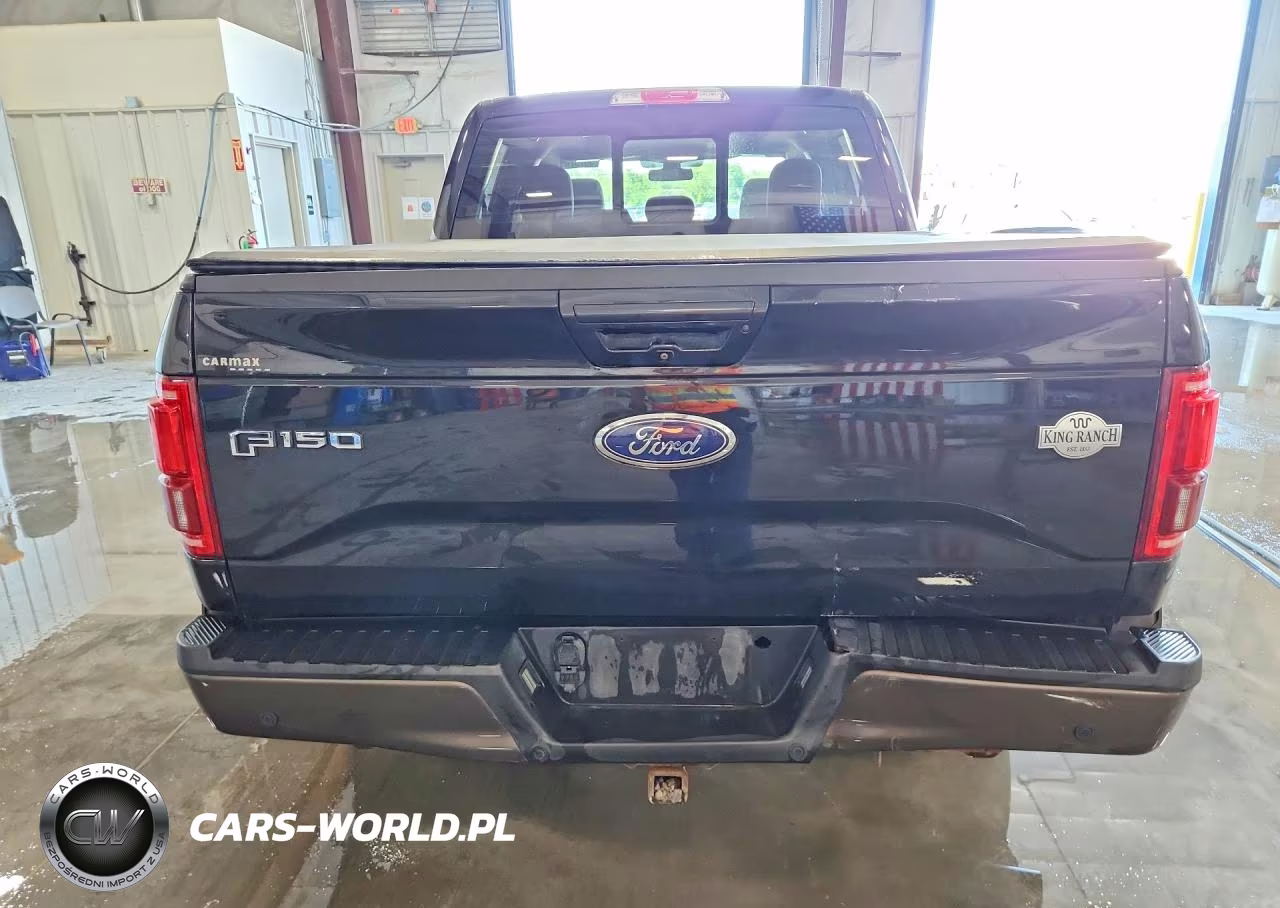 2015 Ford F150 Supercrew VIN:1FTEW1EG8FFC69708 - 6
