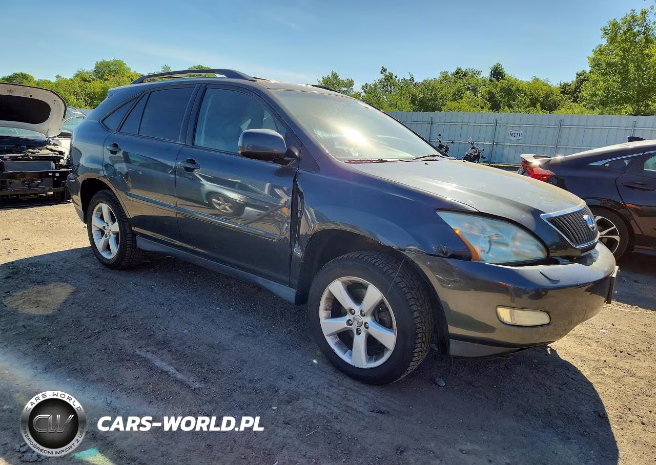 2004 Lexus Rx 330 VIN:2T2HA31U74C004296 - 4
