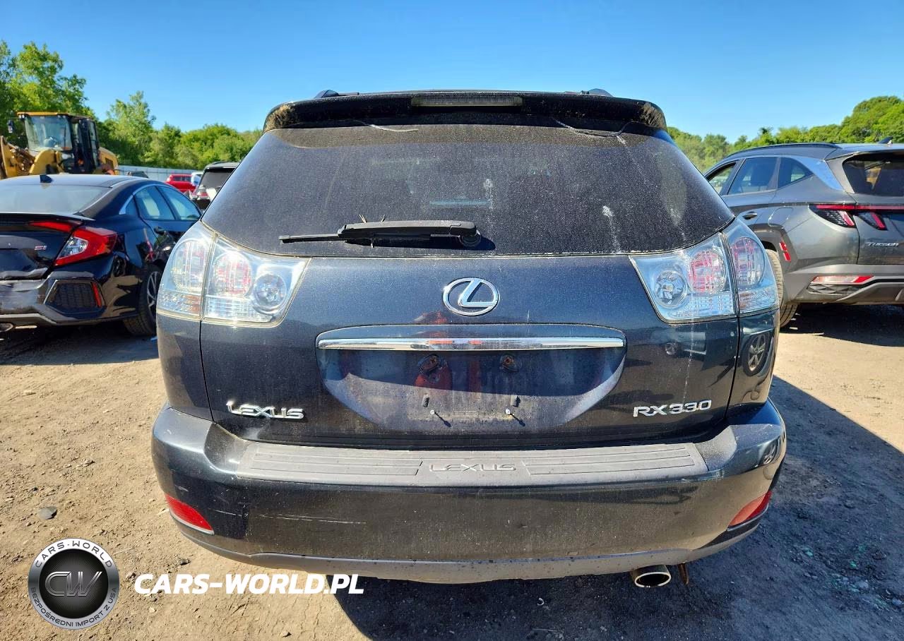 2004 Lexus Rx 330 VIN:2T2HA31U74C004296 - 6