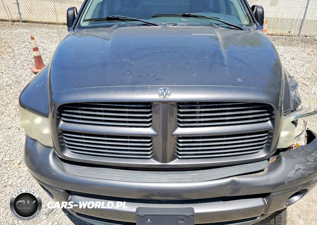 2003 Dodge Ram 1500 St VIN:1D7HU16N73J549294 - 11