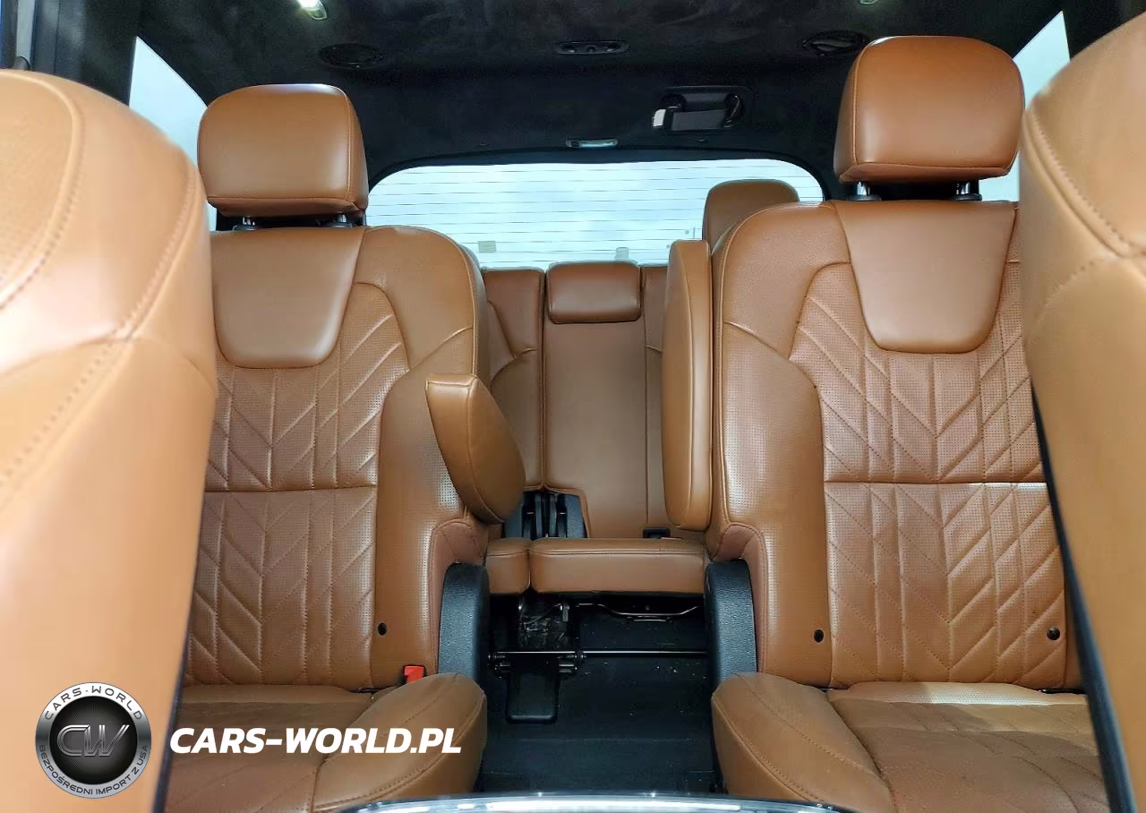 2023 Kia Telluride Sx-Prestige X-Line VIN:5XYP5DGC4PG391049 - 10