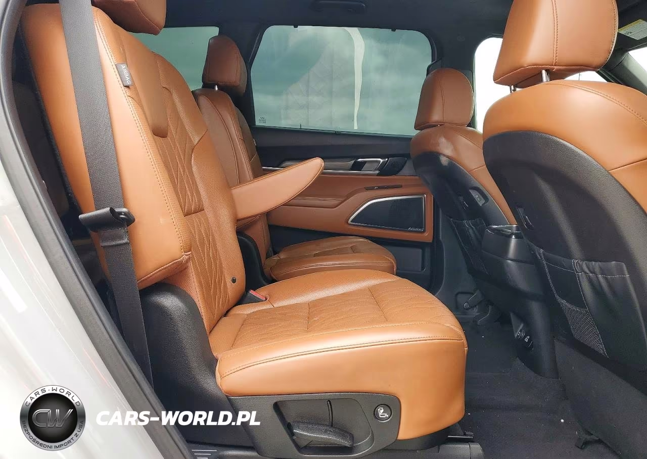 2023 Kia Telluride Sx-Prestige X-Line VIN:5XYP5DGC4PG391049 - 11