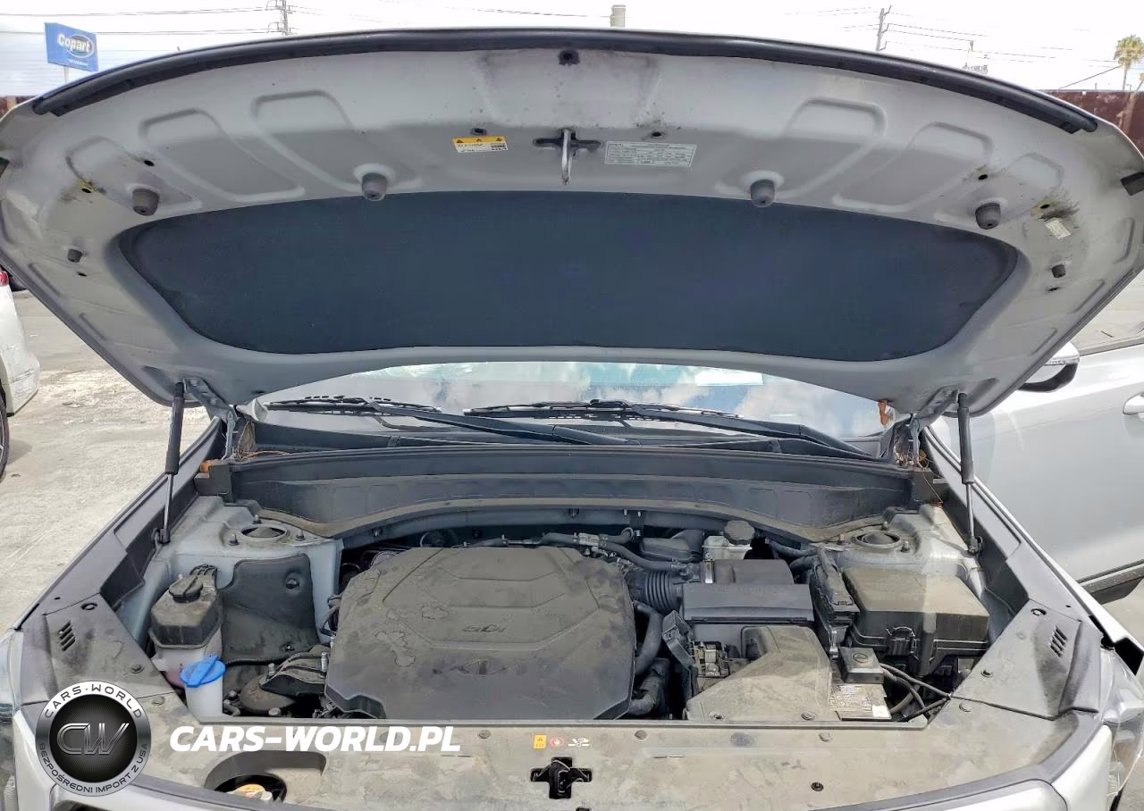 2023 Kia Telluride Sx-Prestige X-Line VIN:5XYP5DGC4PG391049 - 12