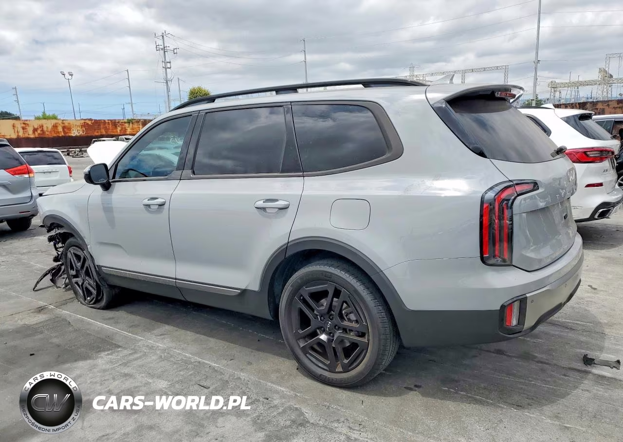 2023 Kia Telluride Sx-Prestige X-Line VIN:5XYP5DGC4PG391049 - 2