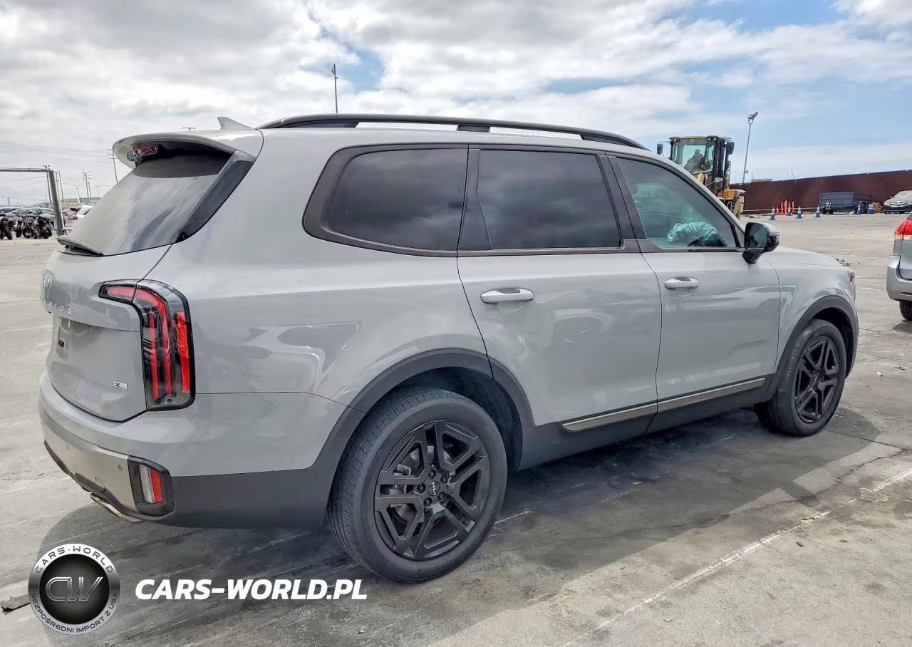 2023 Kia Telluride Sx-Prestige X-Line VIN:5XYP5DGC4PG391049 - 3