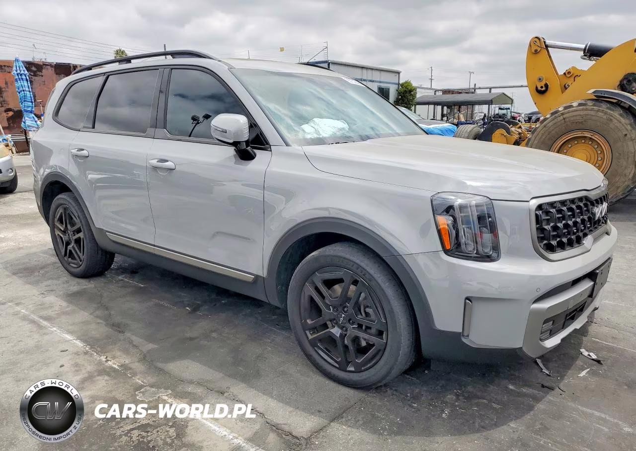 2023 Kia Telluride Sx-Prestige X-Line VIN:5XYP5DGC4PG391049 - 4