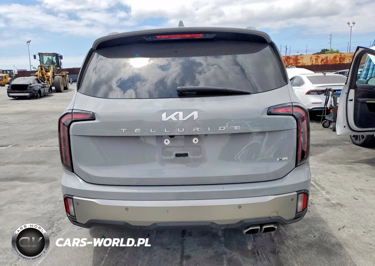 2023 Kia Telluride Sx-Prestige X-Line VIN:5XYP5DGC4PG391049 - 6