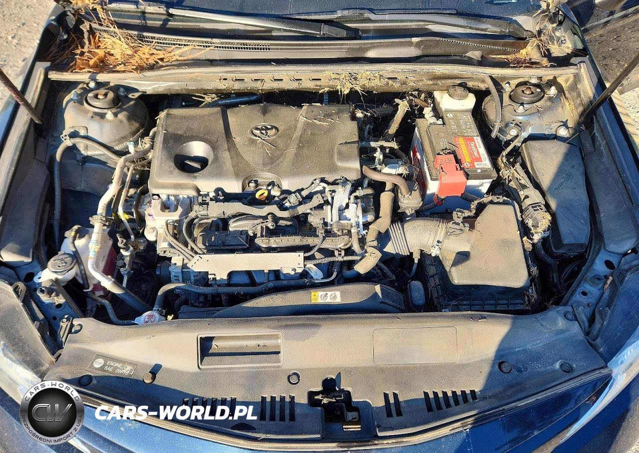 2019 Toyota Camry Le VIN:4T1B11HK4KU254142 - 11