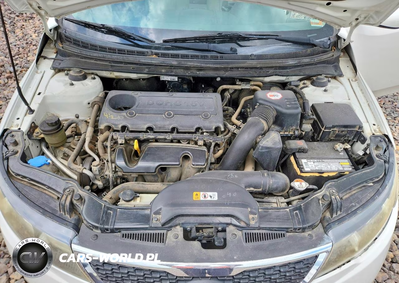 2013 Kia Forte Lx VIN:KNAFT4A20D5690654 - 11