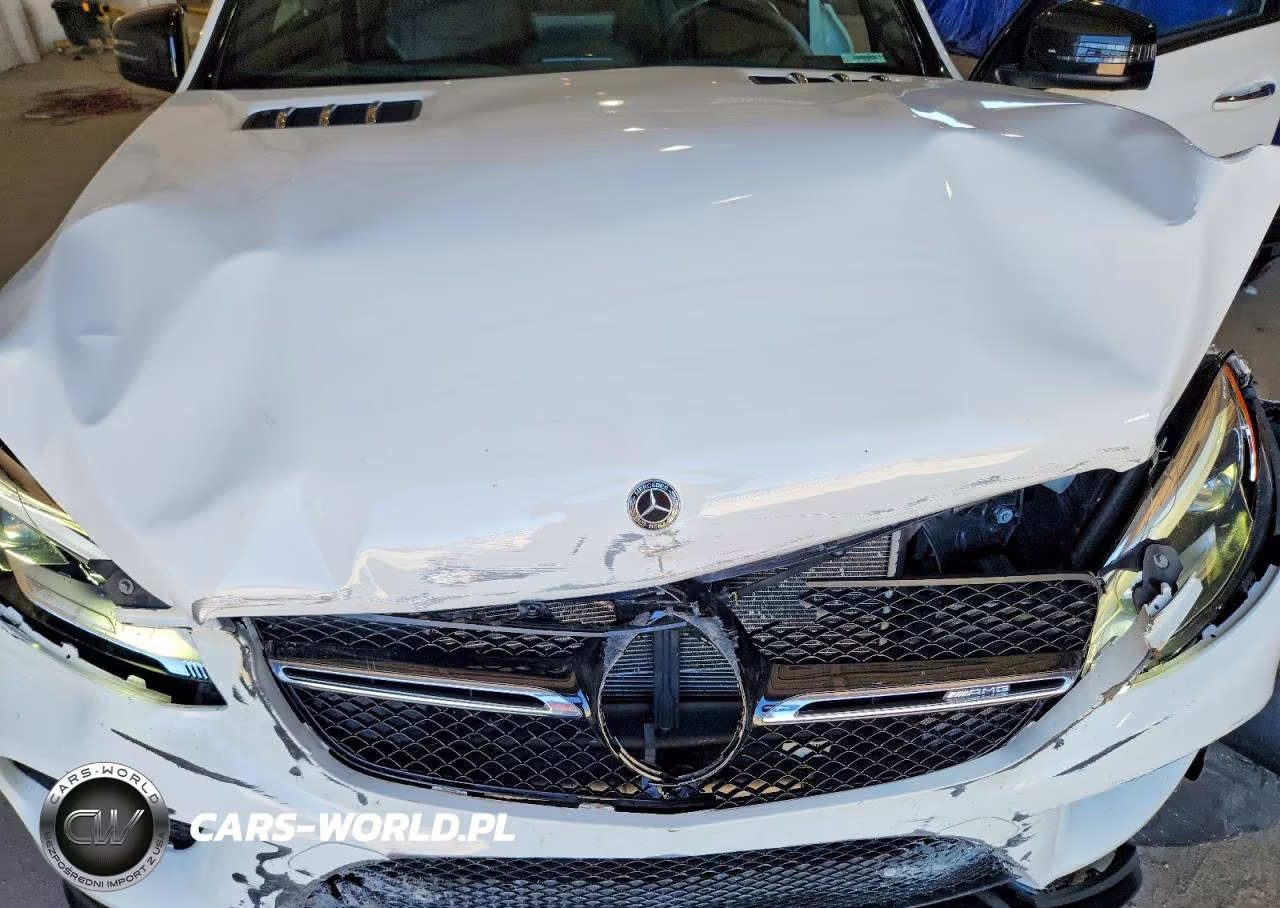 2019 Mercedes-Benz Gle Coupe 43 Amg VIN:4JGED6EB5KA149679 - 12