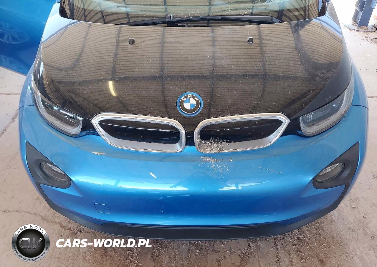 2017 BMW I3 Rex VIN:WBY1Z8C39HV891451 - 11