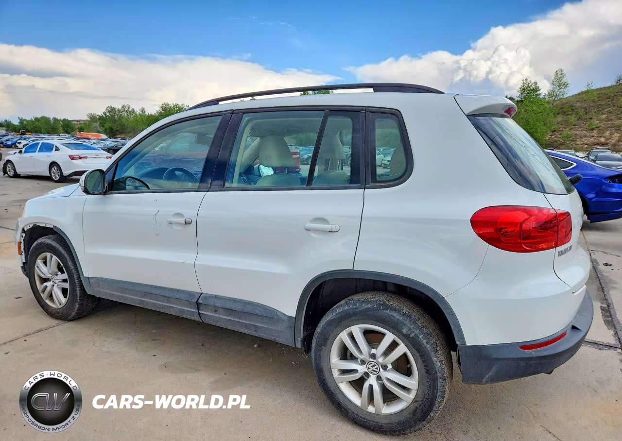 2017 Volkswagen Tiguan S VIN:WVGBV7AX9HK039065 - 2