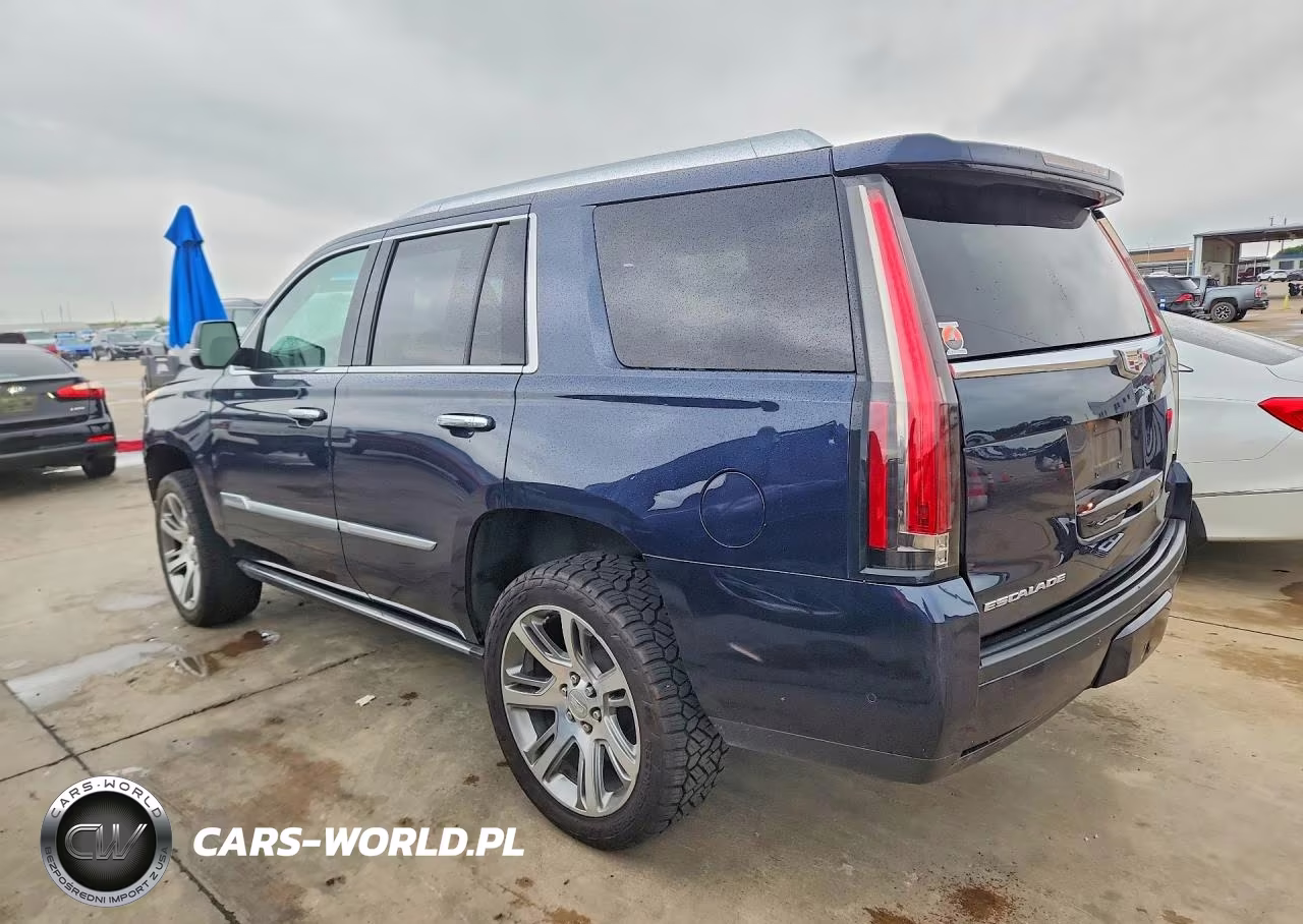 2020 Cadillac Escalade Premium Luxury VIN:1GYS4CKJ7LR132302 - 2