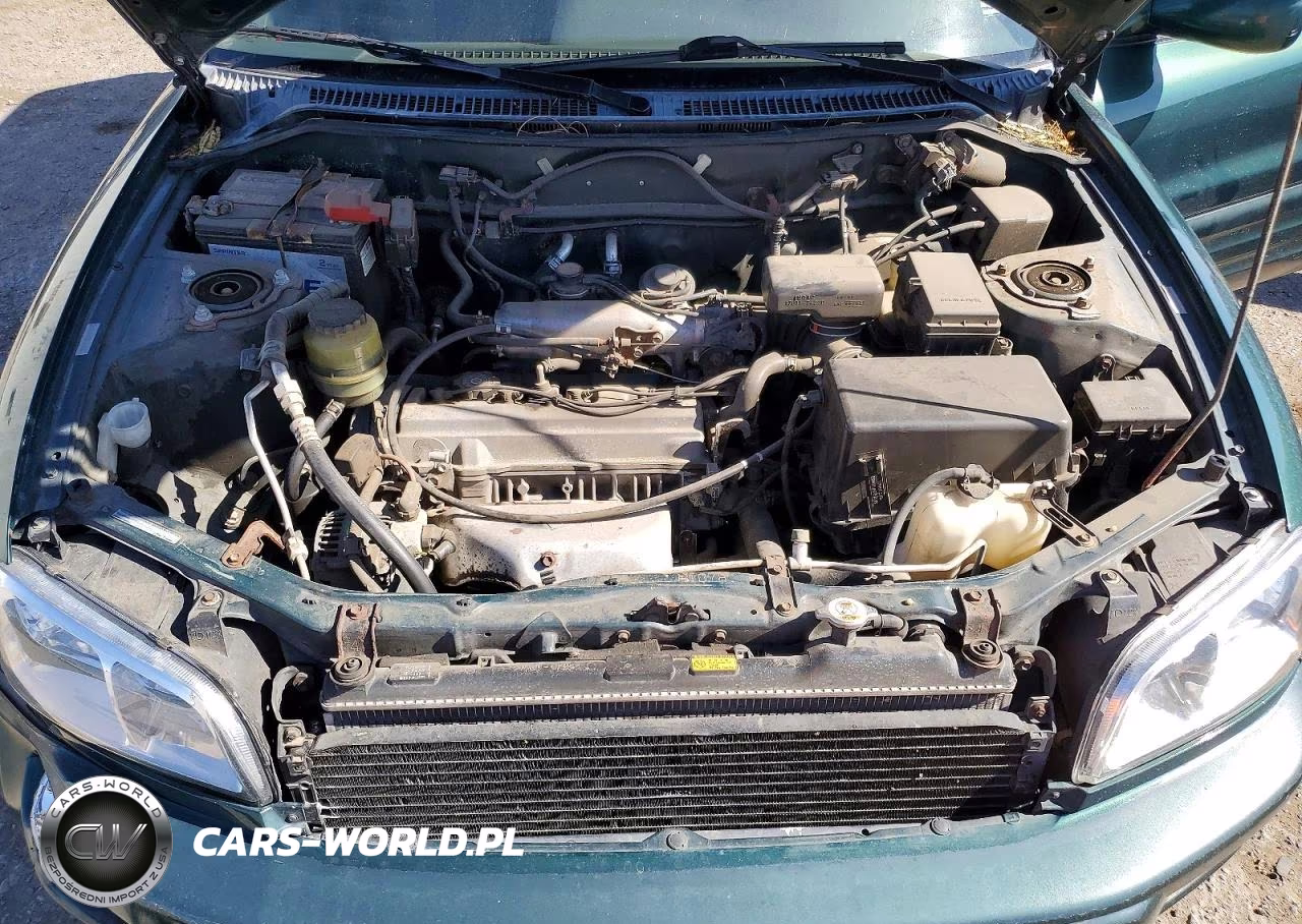 2000 Toyota Rav4 Base VIN:JT3HP10V8Y7166824 - 11
