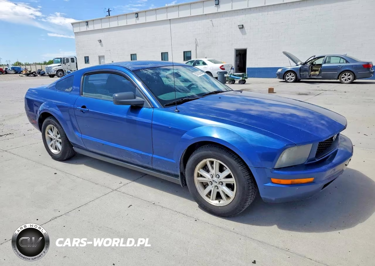 2006 Ford Mustang 2 Door Coupe VIN:1ZVHT80N465126259 - 4