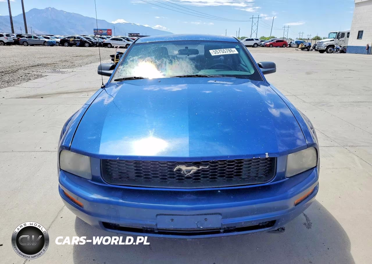 2006 Ford Mustang 2 Door Coupe VIN:1ZVHT80N465126259 - 5
