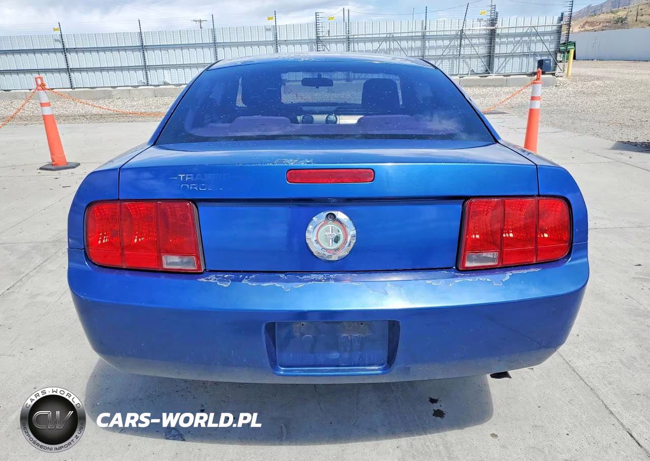 2006 Ford Mustang 2 Door Coupe VIN:1ZVHT80N465126259 - 6