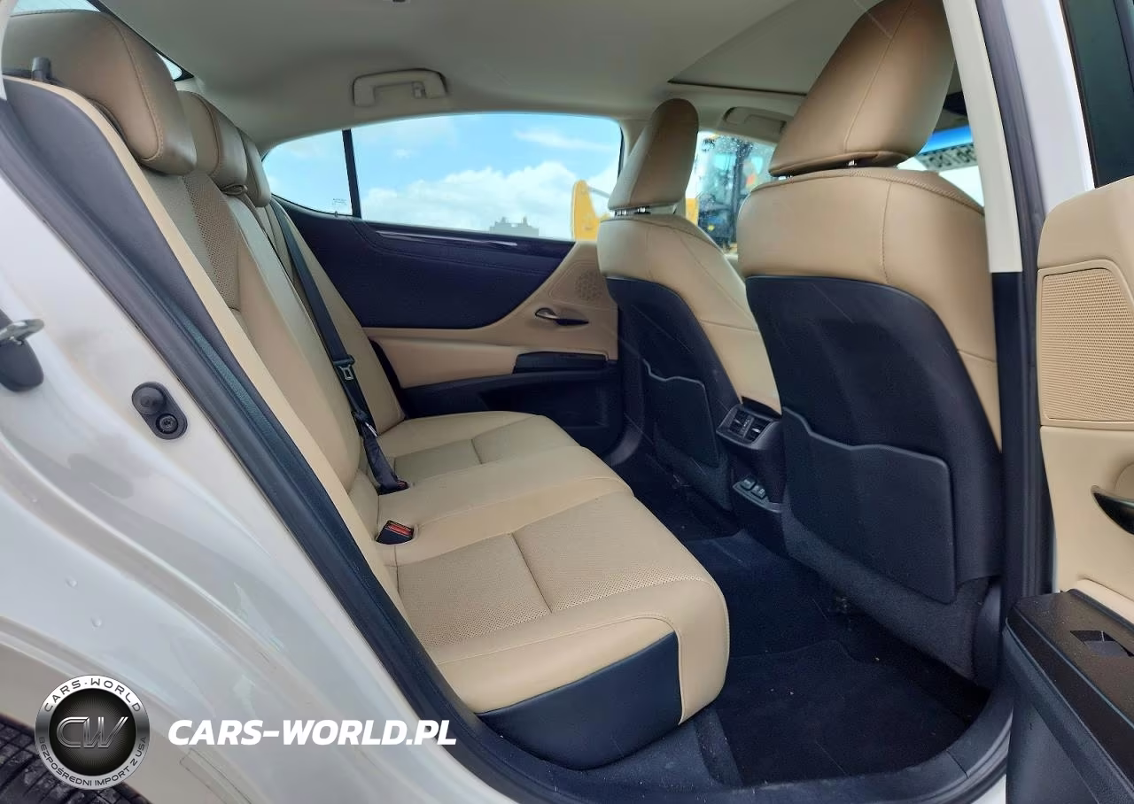 2020 Lexus Es 350 VIN:58ADZ1B12LU053447 - 10