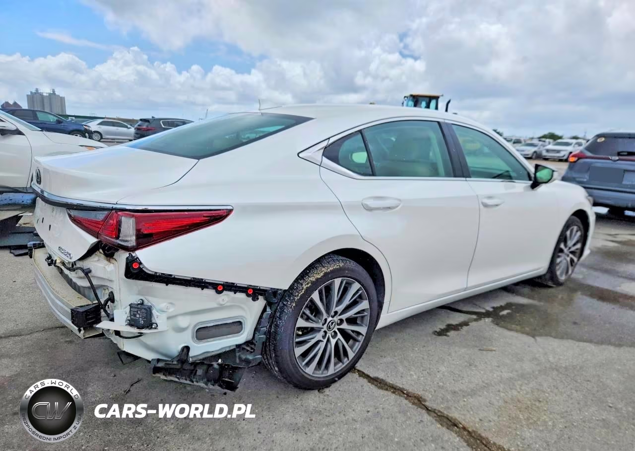 2020 Lexus Es 350 VIN:58ADZ1B12LU053447 - 3