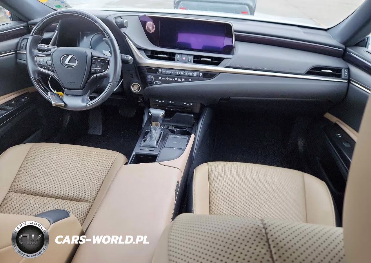 2020 Lexus Es 350 VIN:58ADZ1B12LU053447 - 8