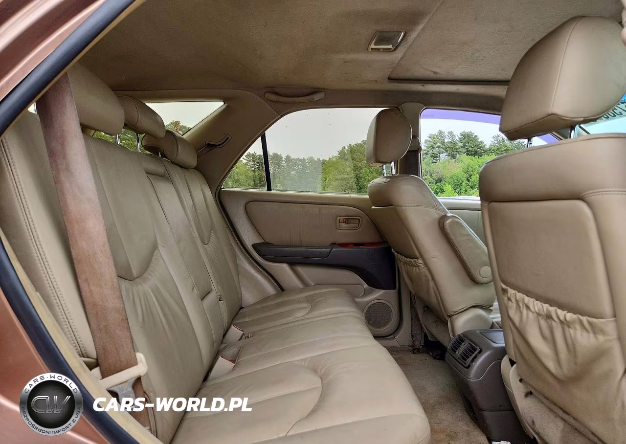 1999 Lexus Rx 300 VIN:JT6HF10U2X0063502 - 11