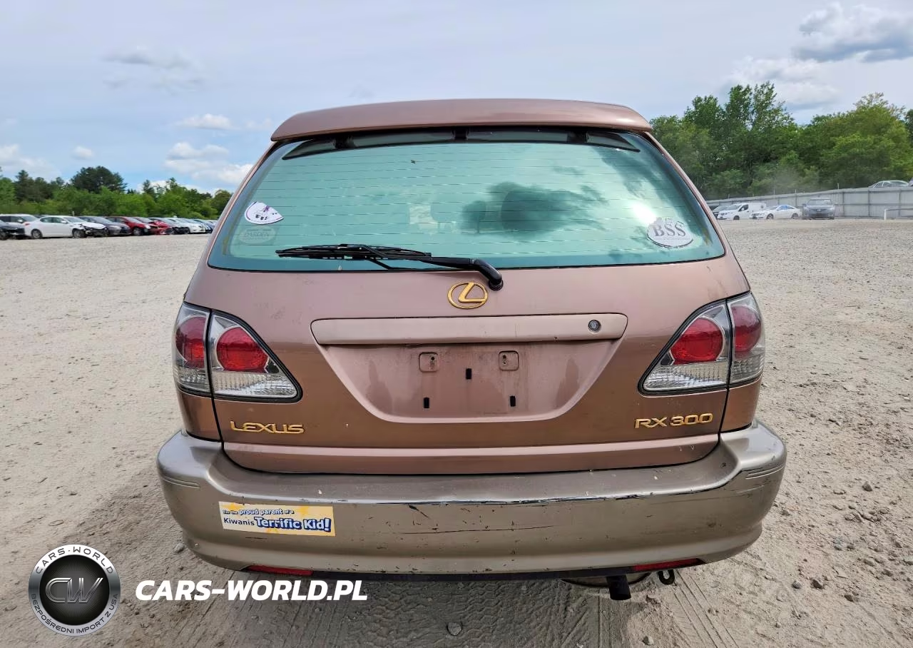 1999 Lexus Rx 300 VIN:JT6HF10U2X0063502 - 6