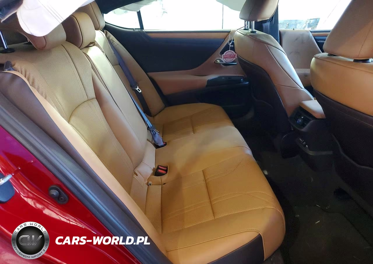 2020 Lexus Es 350 Luxury VIN:58AEZ1B13LU072433 - 10