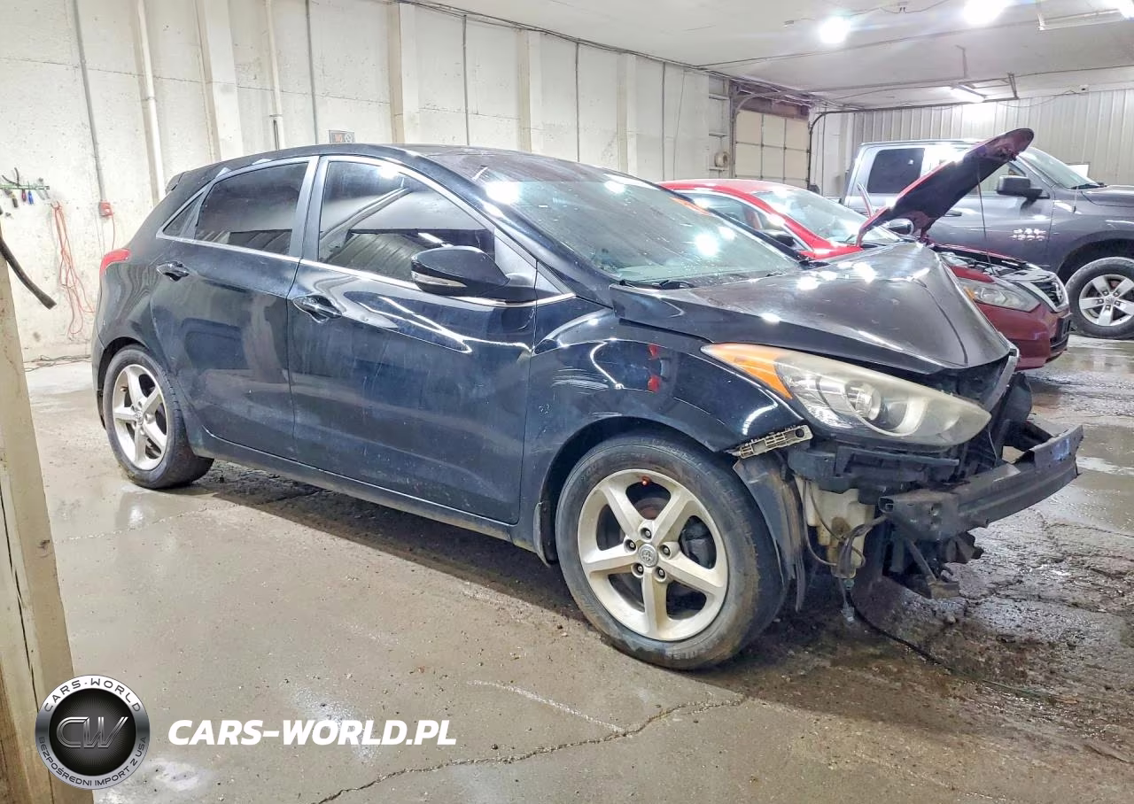 2014 Hyundai Elantra Gt Base VIN:KMHD35LH0EU164366 - 4