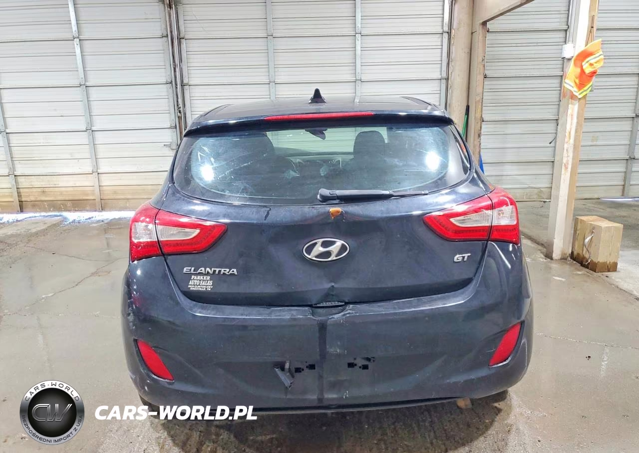 2014 Hyundai Elantra Gt Base VIN:KMHD35LH0EU164366 - 6