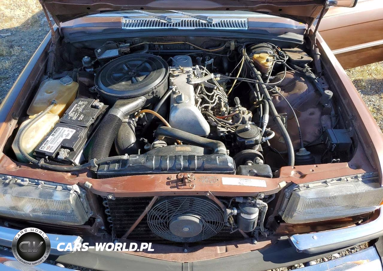 1979 Mercedes-Benz 300 Sd VIN:11612012008559 - 11
