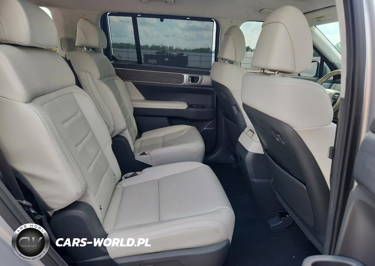 2025 Hyundai Santa Fe Calligraphy VIN:5NMP54GL2SH081237 - 11