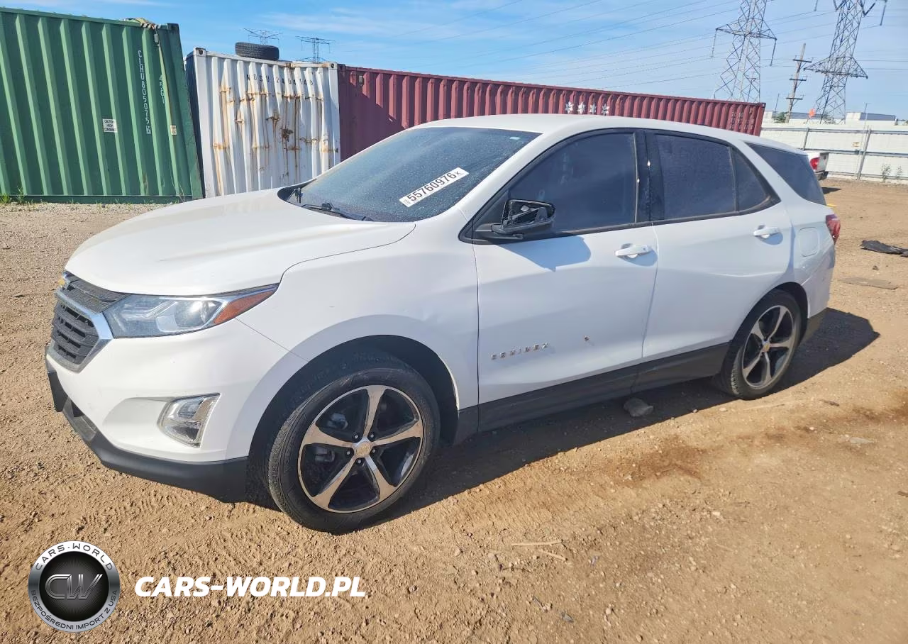 2019 Chevrolet Equinox Ls VIN:3GNAXHEV5KS651162 - 1