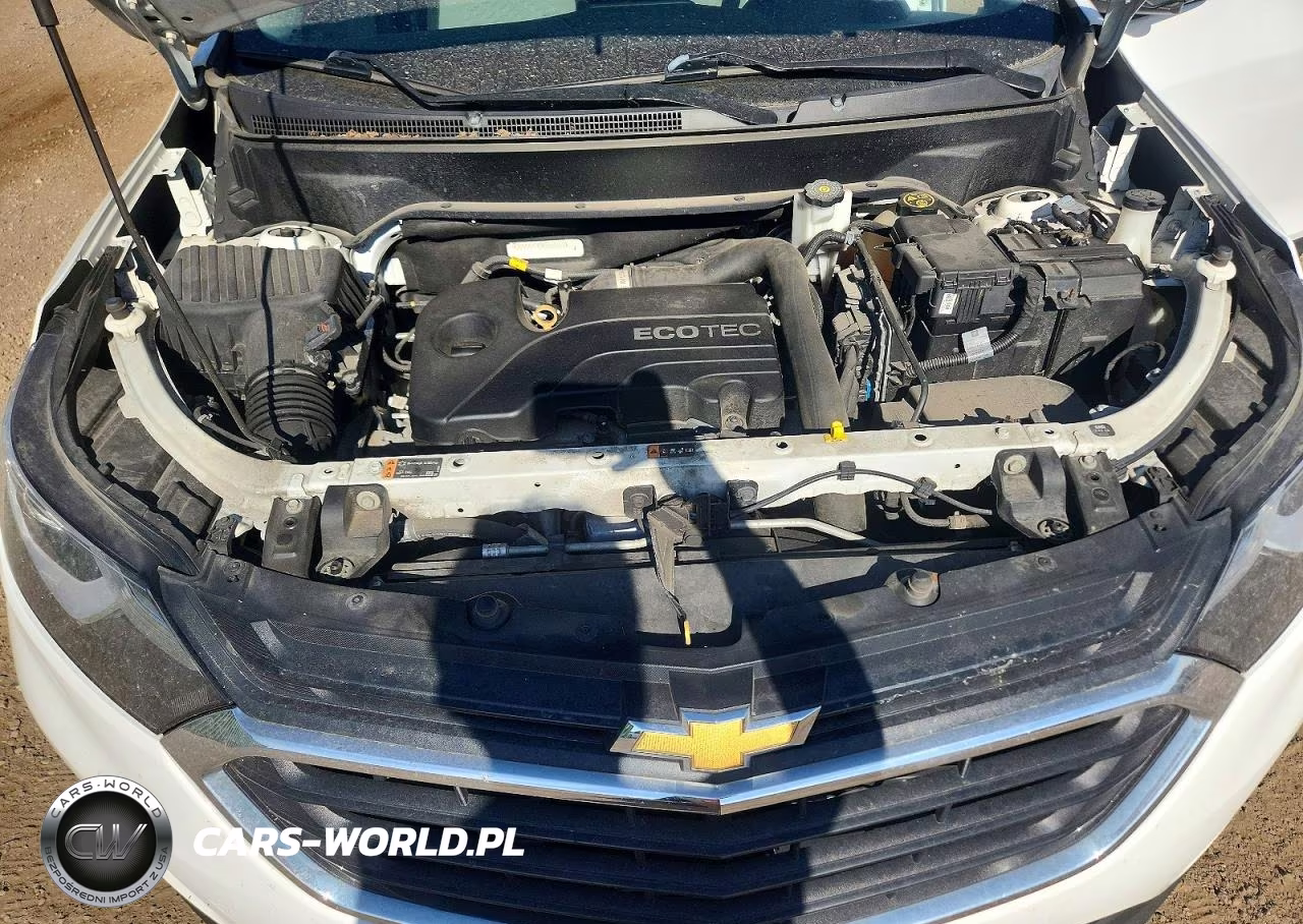 2019 Chevrolet Equinox Ls VIN:3GNAXHEV5KS651162 - 11