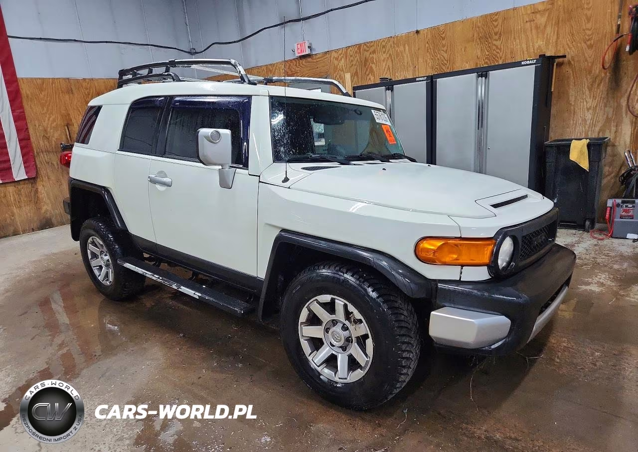 2014 Toyota Fj Cruiser Base VIN:JTEBU4BF4EK187563 - 4