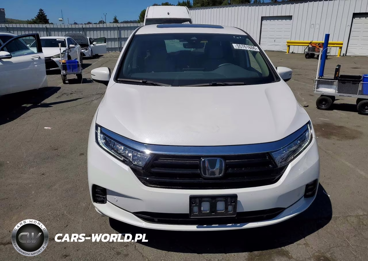 2024 Honda Odyssey Elite VIN:5FNRL6H92RB014999 - 5