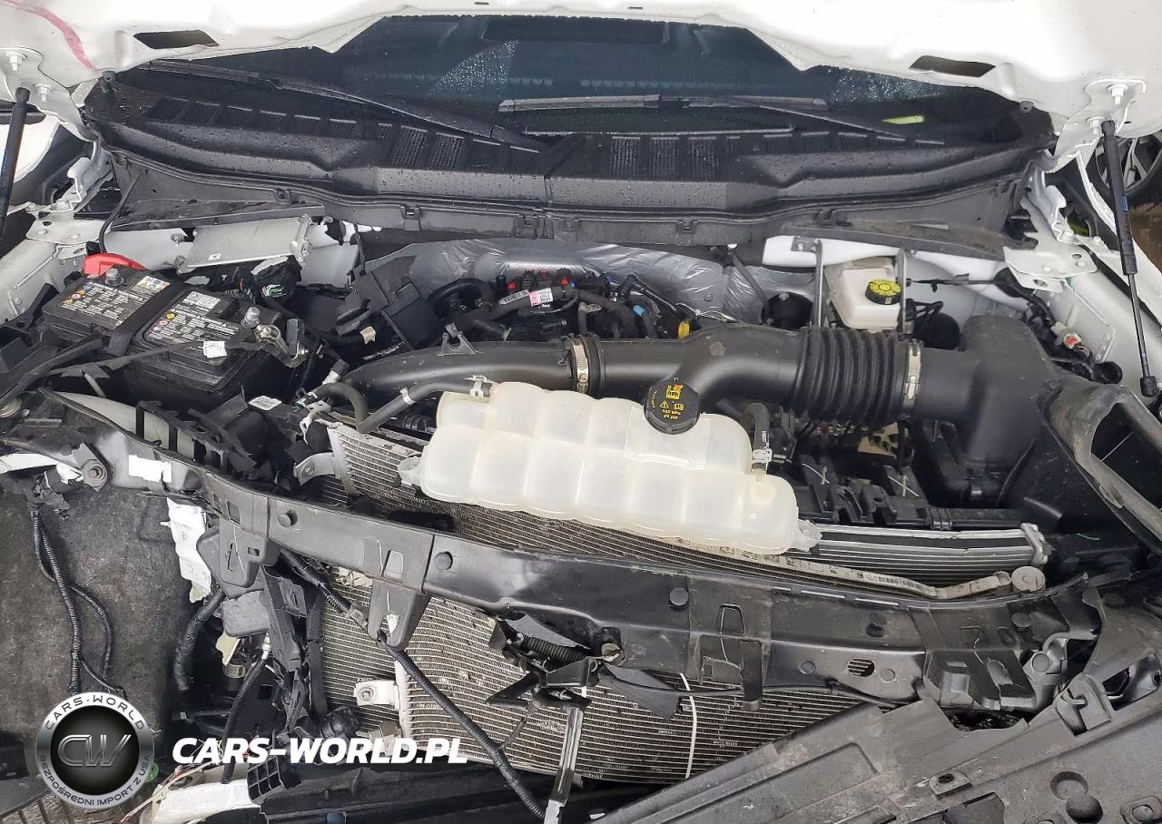 2025 Ford F150 Stx VIN:1FTEW2KPXSKF44068 - 11