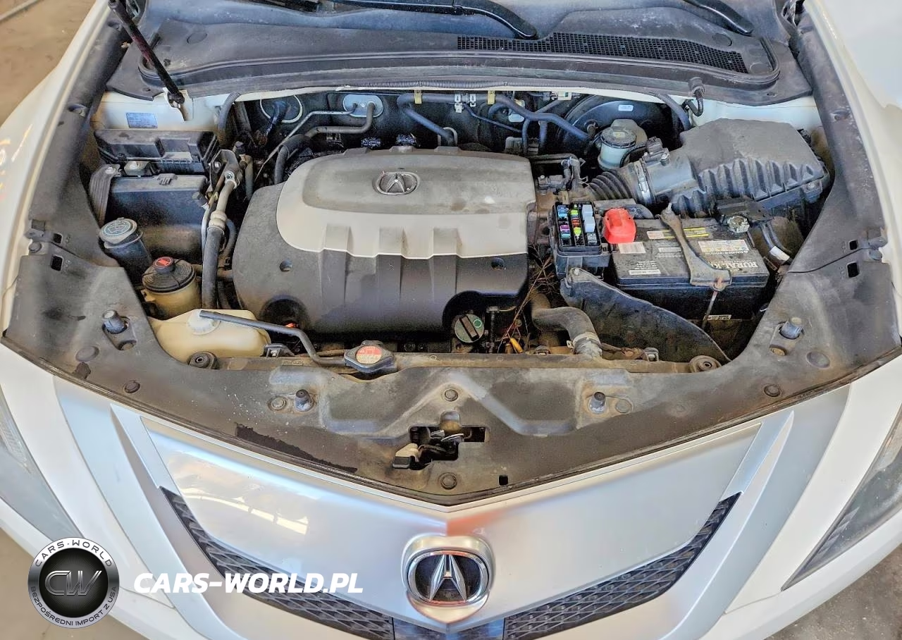 2010 Acura Zdx Advance VIN:2HNYB1H69AH502282 - 11