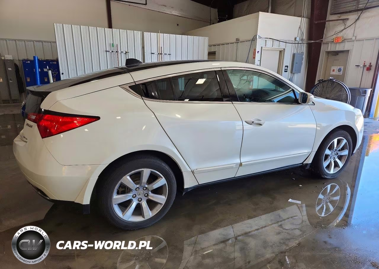 2010 Acura Zdx Advance VIN:2HNYB1H69AH502282 - 3